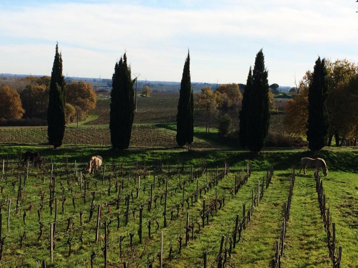 Chateau De La Grave Bourg-sur-Gironde Zewnętrze zdjęcie